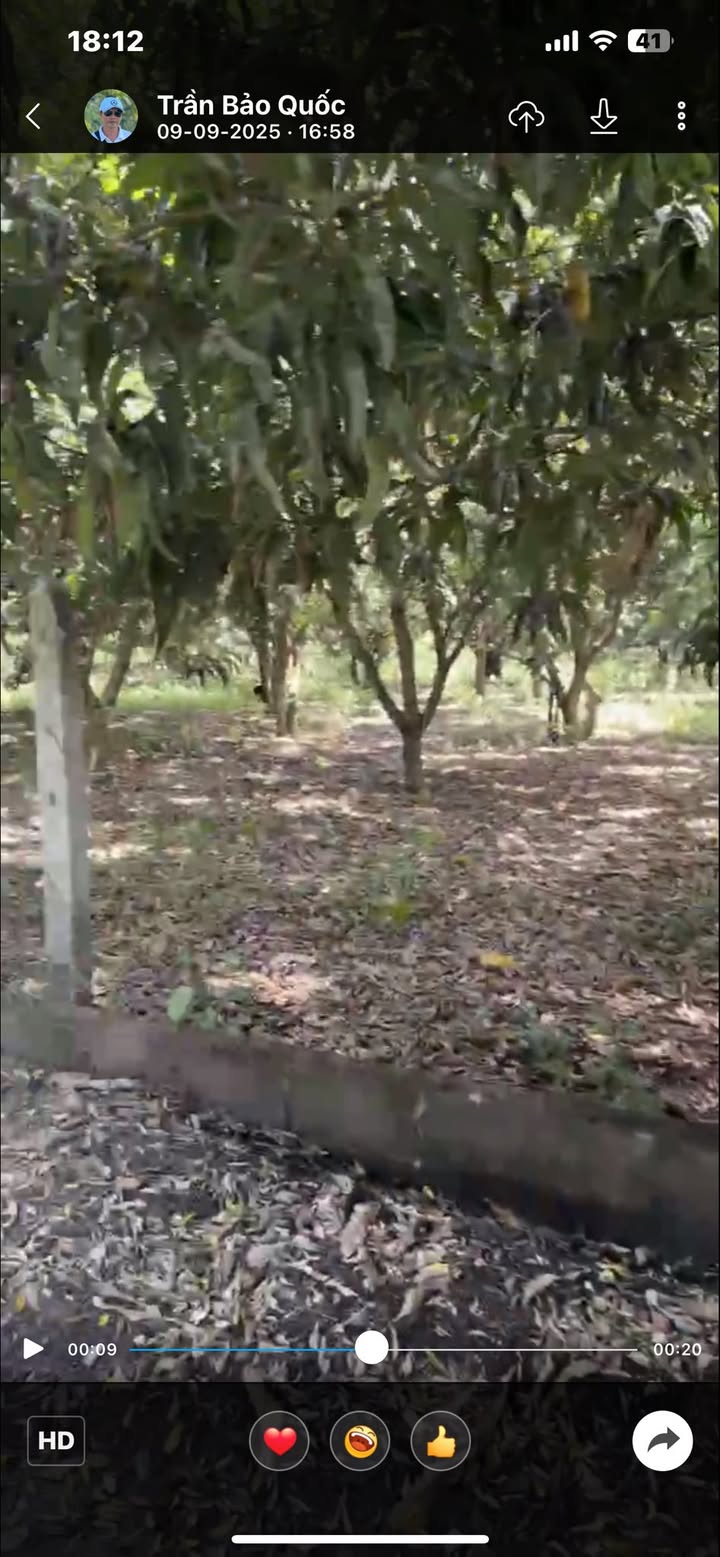 Đất nền Cam Thành Bắc 3190m² giá 1 tỷ - Tiềm năng đầu tư lớn!