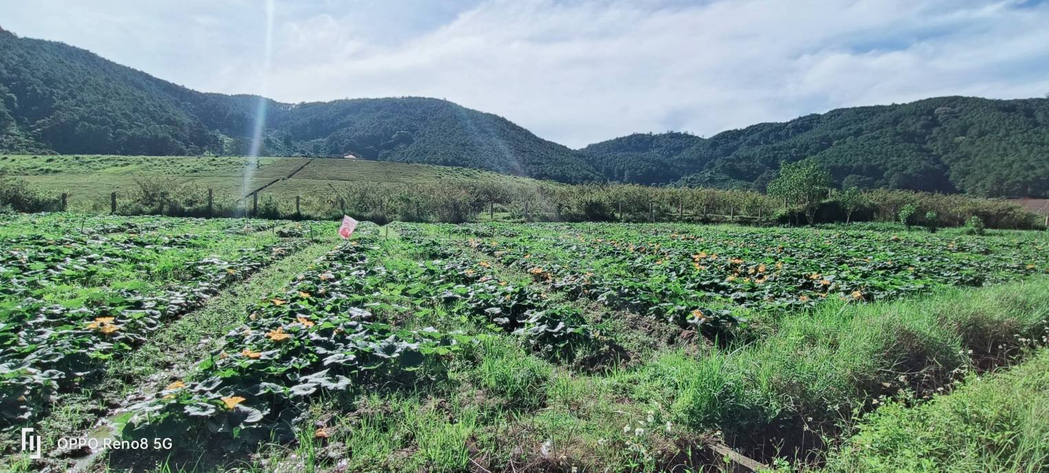 Đất nền 2500m² tại xã Ka Đơn, Đơn Dương - Giá chỉ 850 triệu, sổ hồng chính chủ!