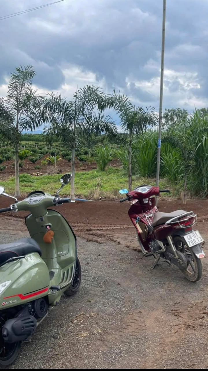 Đất nền 1.908m² tại xã Tân Hội, huyện Đức Trọng, giá 2.915 tỷ - Cơ hội đầu tư hấp dẫn!