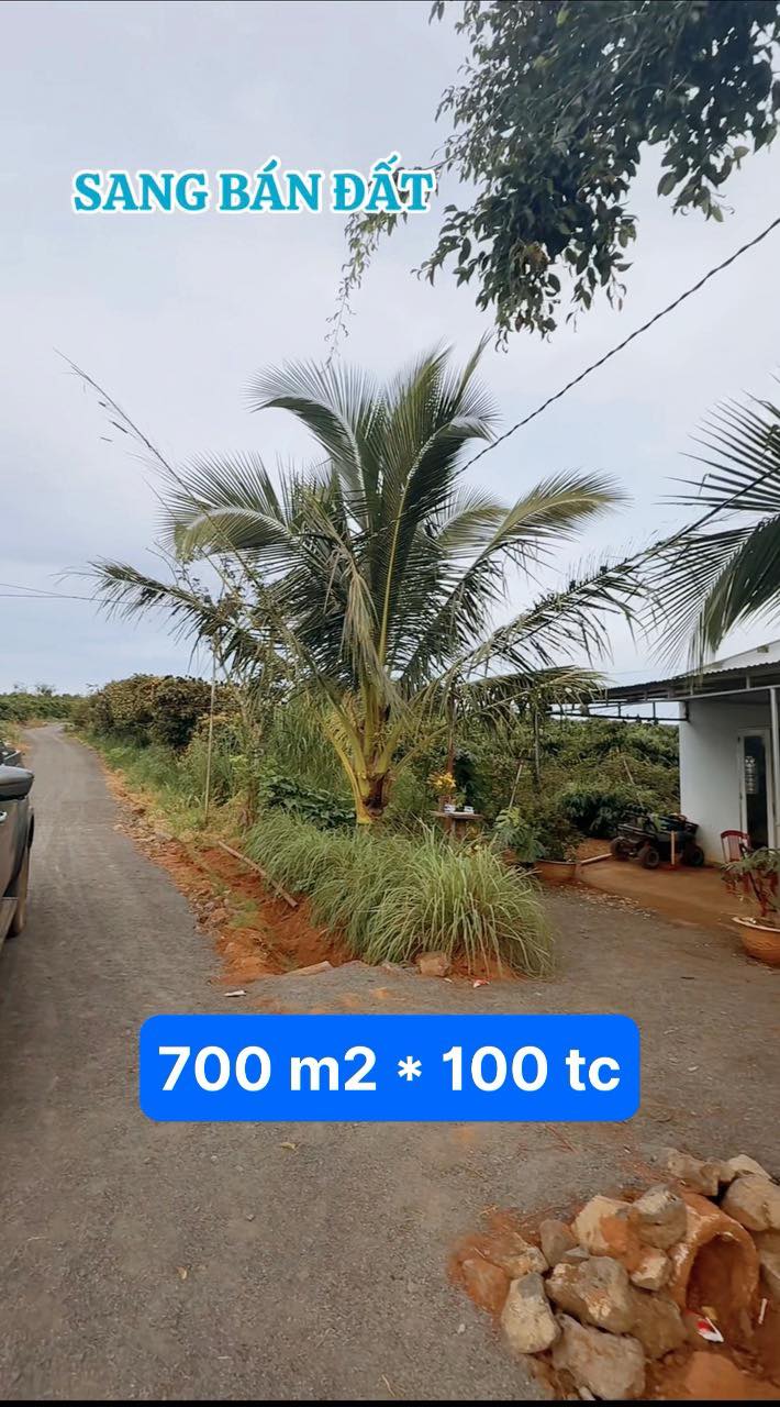 Đất nền Tân Hội Đức Trọng 700m² giá chỉ 950 triệu - Cơ hội đầu tư tuyệt vời!