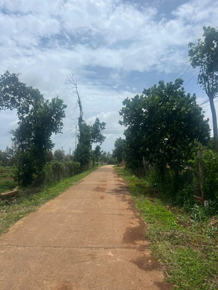 Đất thổ cư 900m² thôn 9, xã Ea Drông, Buôn Hồ - Giá chỉ 650 triệu!