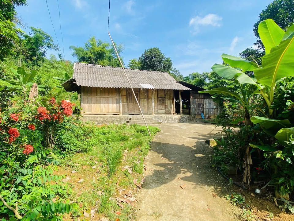 Đất farm tại Tú Lý - Đà Bắc 2000m² giá thỏa thuận - Phù hợp xây dựng nghỉ dưỡng