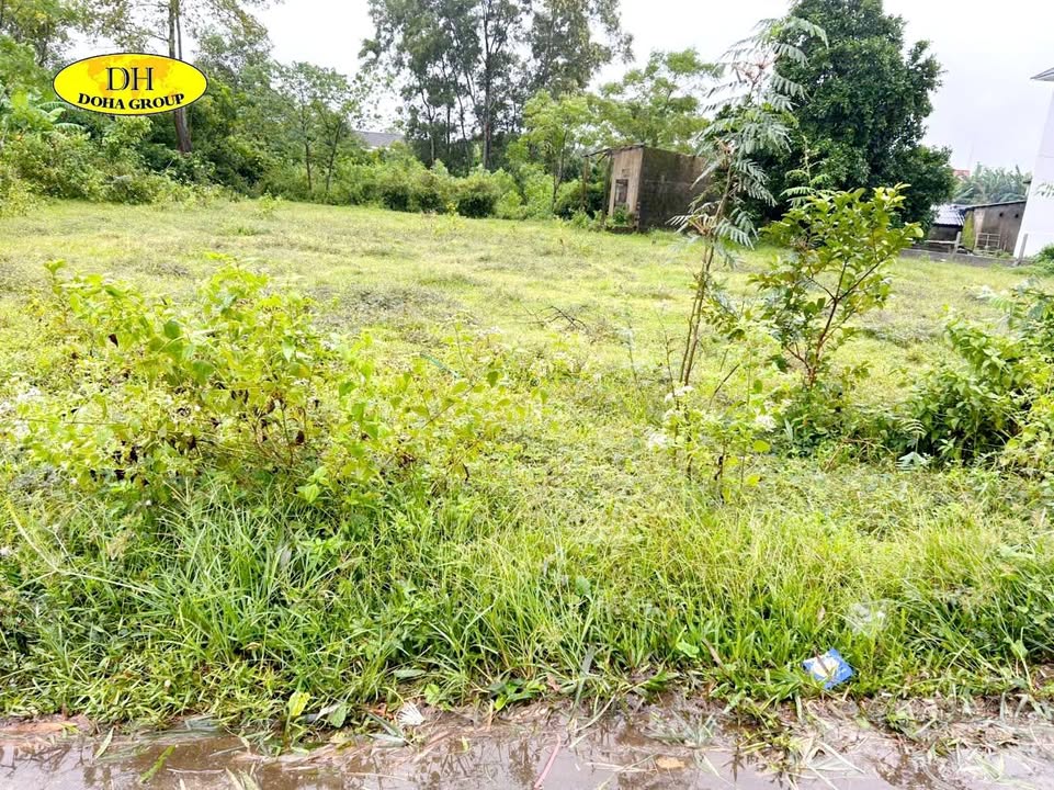 Đất mặt tiền Nguyễn Tri Phương, Cam Lộ 151m² giá 400 triệu - Đầu tư sinh lời ngay!