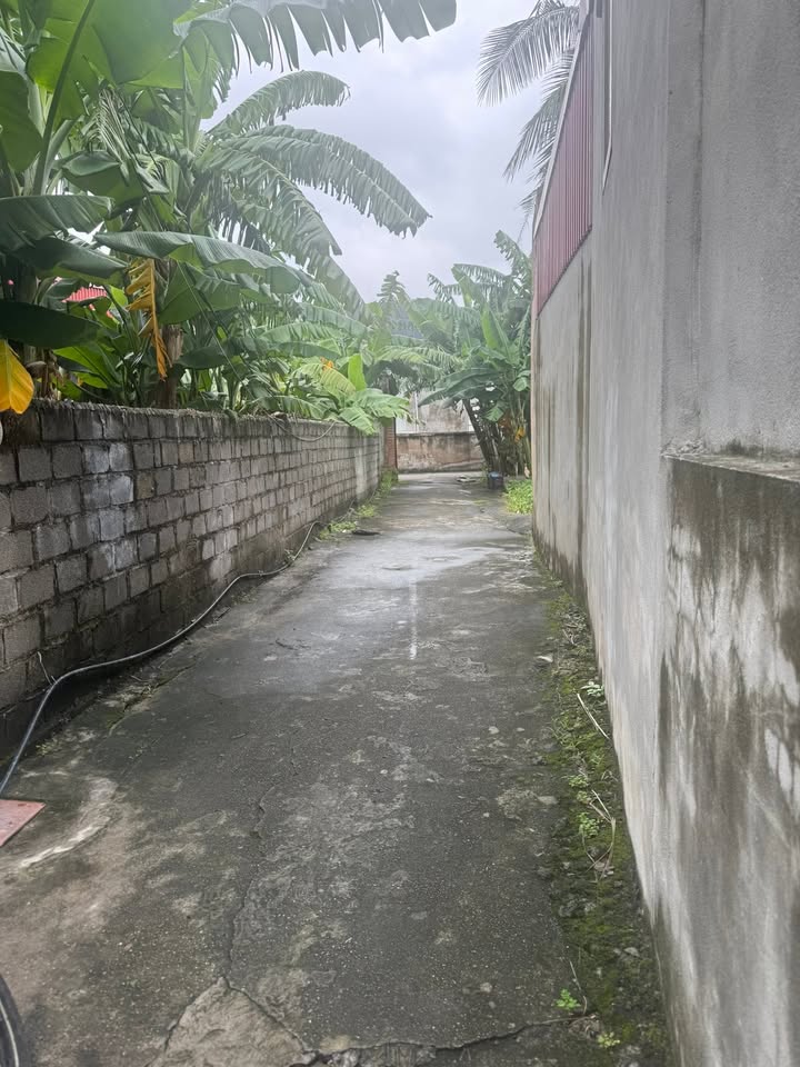 Nhà cấp 4 Đa Phúc, Dương Kinh 102m² giá 1 tỷ - Chính chủ bán gấp!