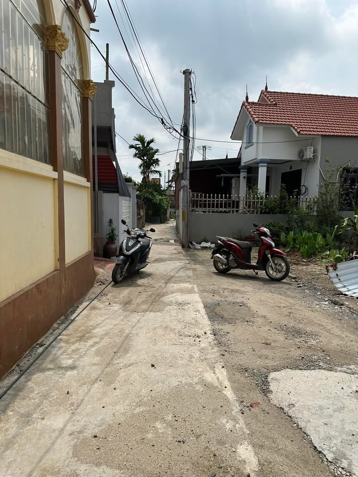 Đất nền Vân Tảo, Thường Tín 60.9m² giá thỏa thuận - Đầu tư sinh lời ngay!