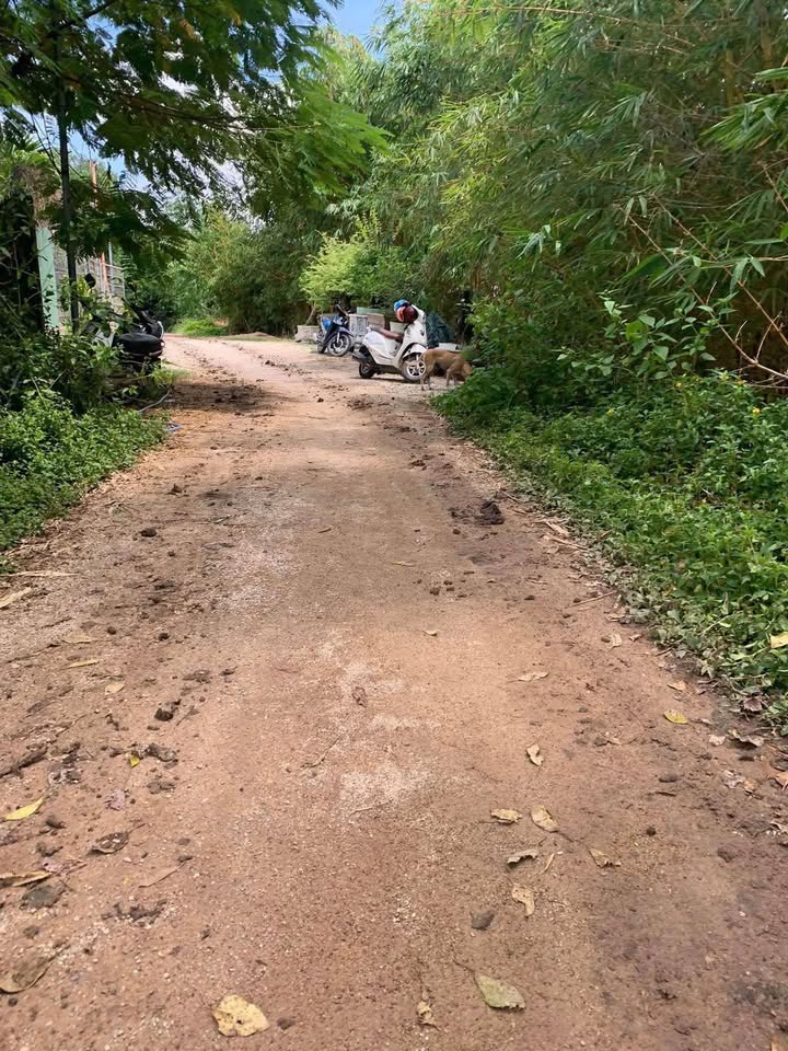 Đất nền phường Nhơn Phú, Quy Nhơn 217m² giá 1.1 tỷ - Vị trí đẹp gần sông!