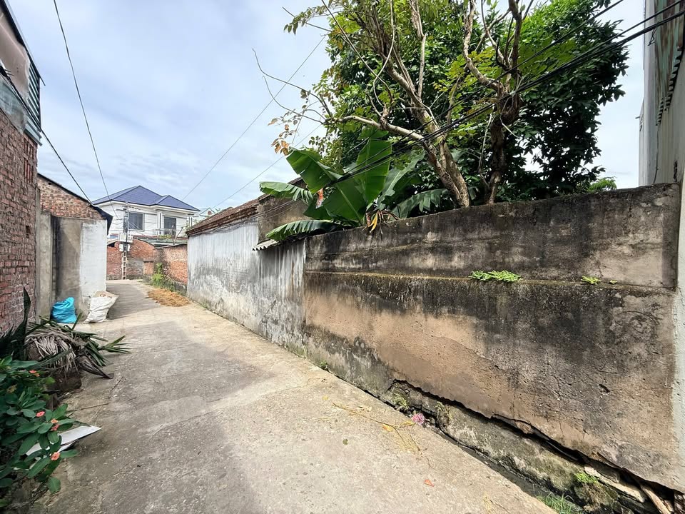 Đất thổ cư Quế Nham, Tân Yên 311m² giá chỉ 1 tỷ - Cơ hội đầu tư hấp dẫn!