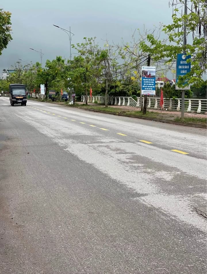 Đất nền Tỉnh Lộ 295 Lục Nam 110.7m² giá chỉ 3xx triệu - Sổ đỏ chính chủ!