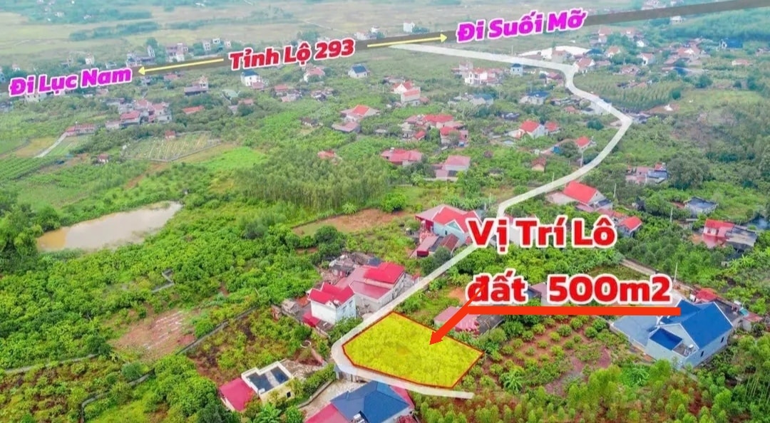 Đất nền Cương Sơn Lục Nam 500m² giá 500 triệu - Đầu tư sinh lời ngay!
