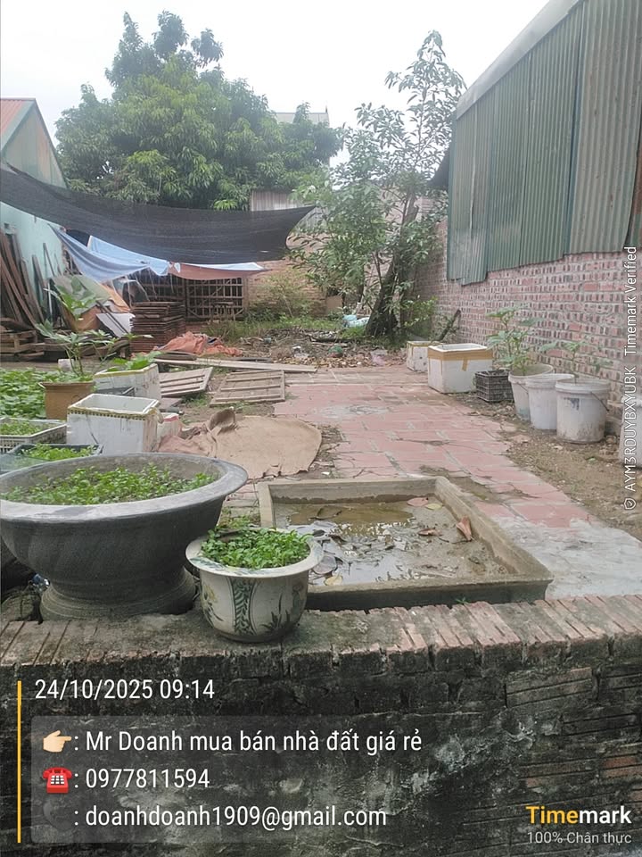 Đất nền khu Đoài, xã Việt Hùng, 67m² giá chỉ 4.03 tỷ - Đầu tư sinh lời cao!