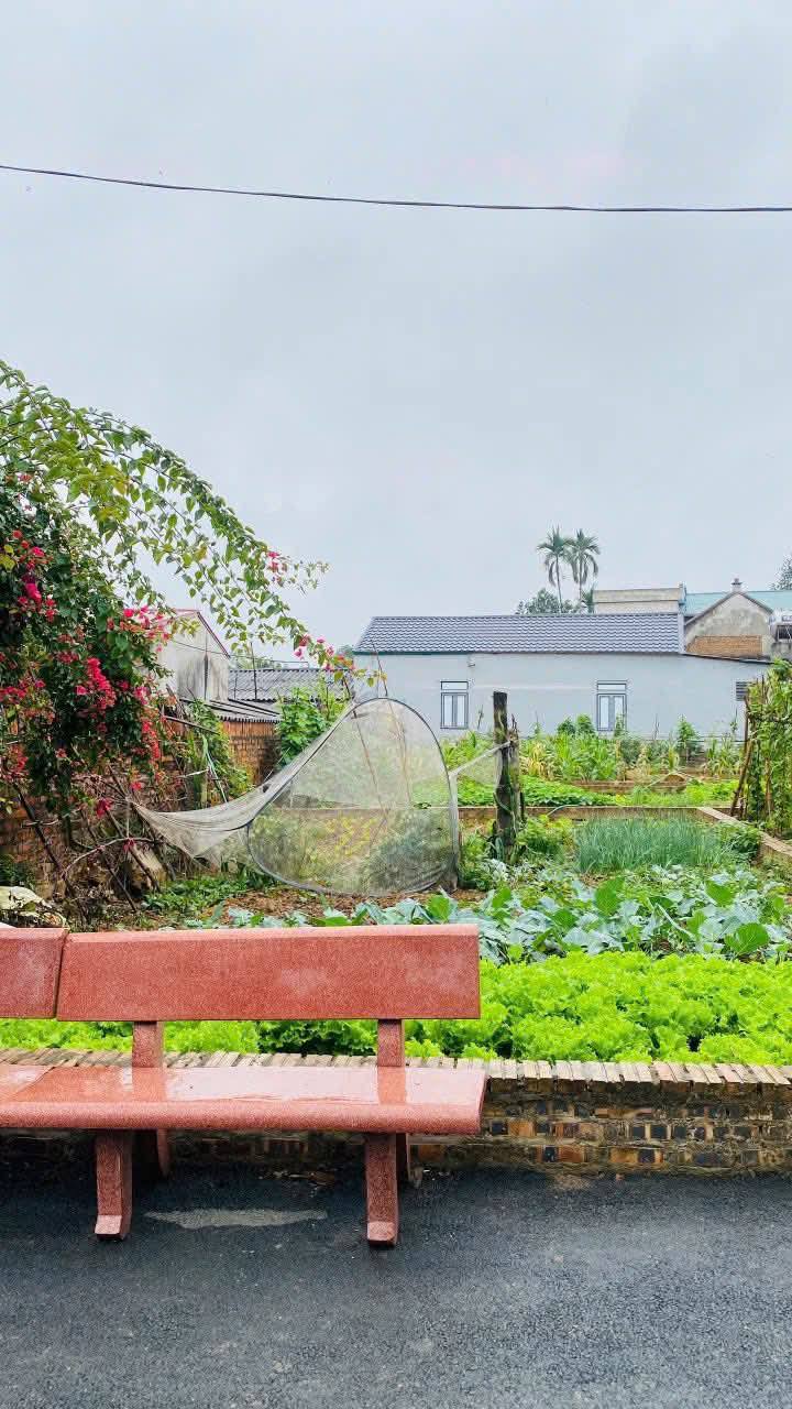 Đất nền Lại Thượng Thạch Thất 63m² giá thỏa thuận - Đầu tư sinh lời ngay!