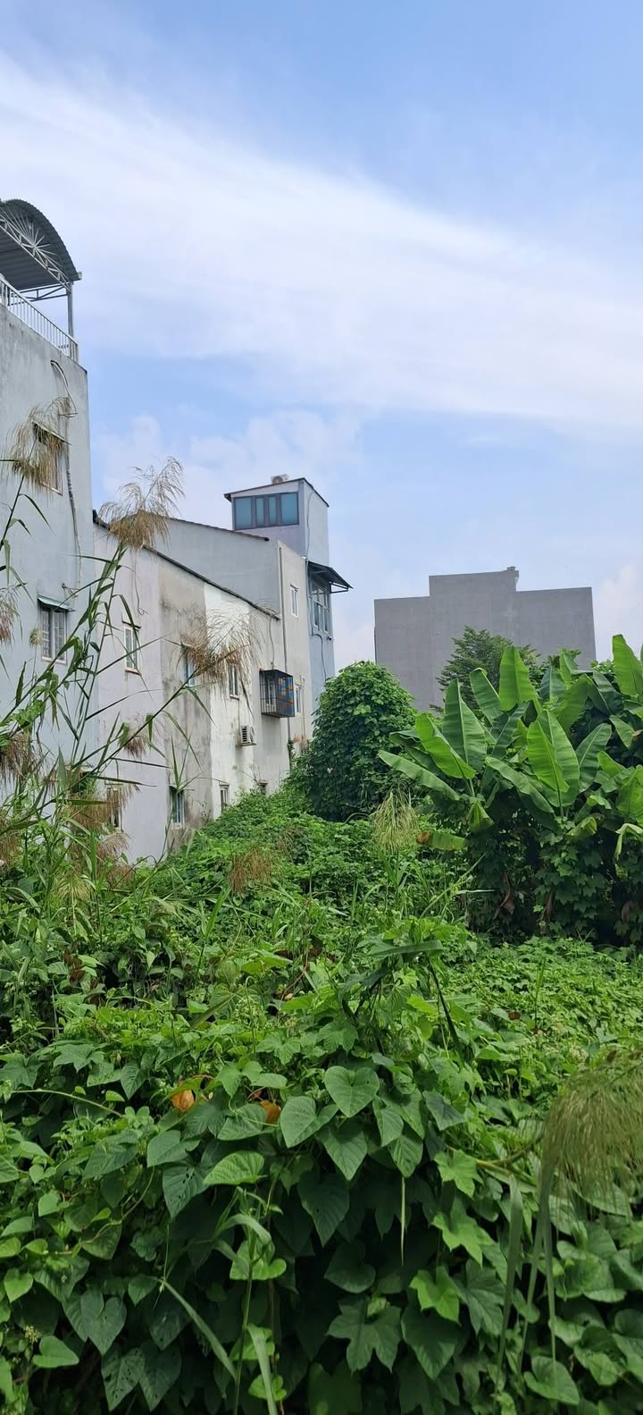 Đất nền Phước Kiển 480m² giá 13.5 tỷ - Đầu tư sinh lời tuyệt vời!