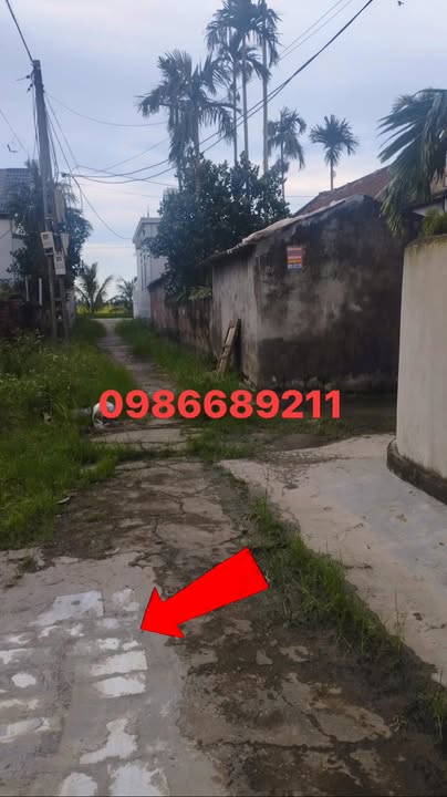 Đất thổ cư Hòa Bình, Vĩnh Bảo, Hải Phòng 92m² giá 1xx triệu - Vị trí đắc địa gần KCN!