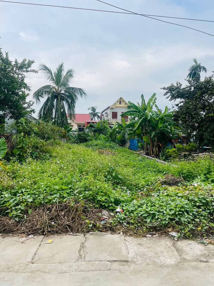 Đất Thổ Cư Thôn Kinh Điền Tân Viên 140m² giá 1 tỷ - Cơ hội đầu tư tuyệt vời!