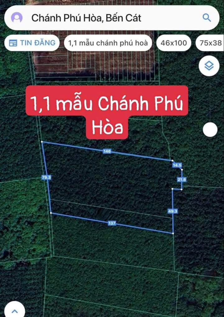Đất cao su Chánh Phú Hòa Bến Cát 11.000m² - Giá rẻ bất ngờ!