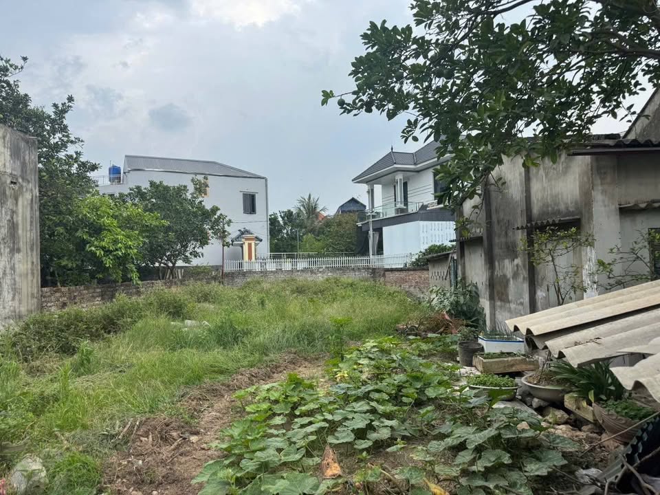 Đất nền Phùng Xá, Mỹ Đức, Hà Nội 193m² giá 4.5 tỷ - Cơ hội đầu tư hiếm có!