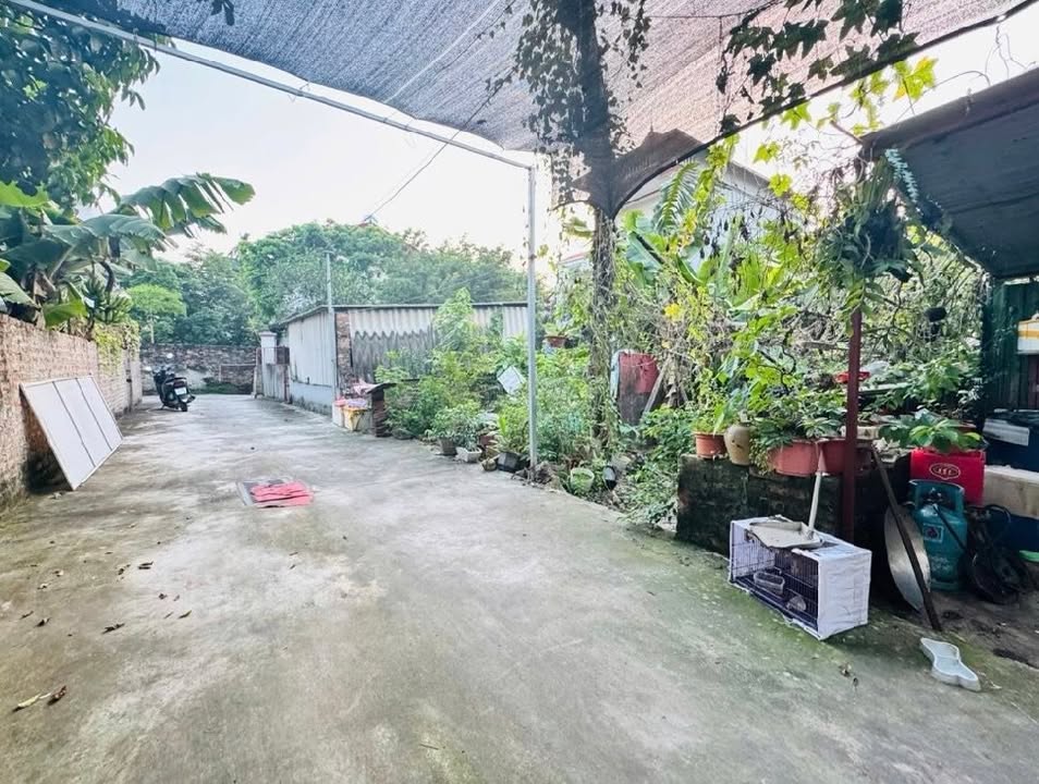 Đất đẹp Tiên Dương, Đông Anh 61.1m² - Sổ đỏ chính chủ, kết nối thuận tiện!