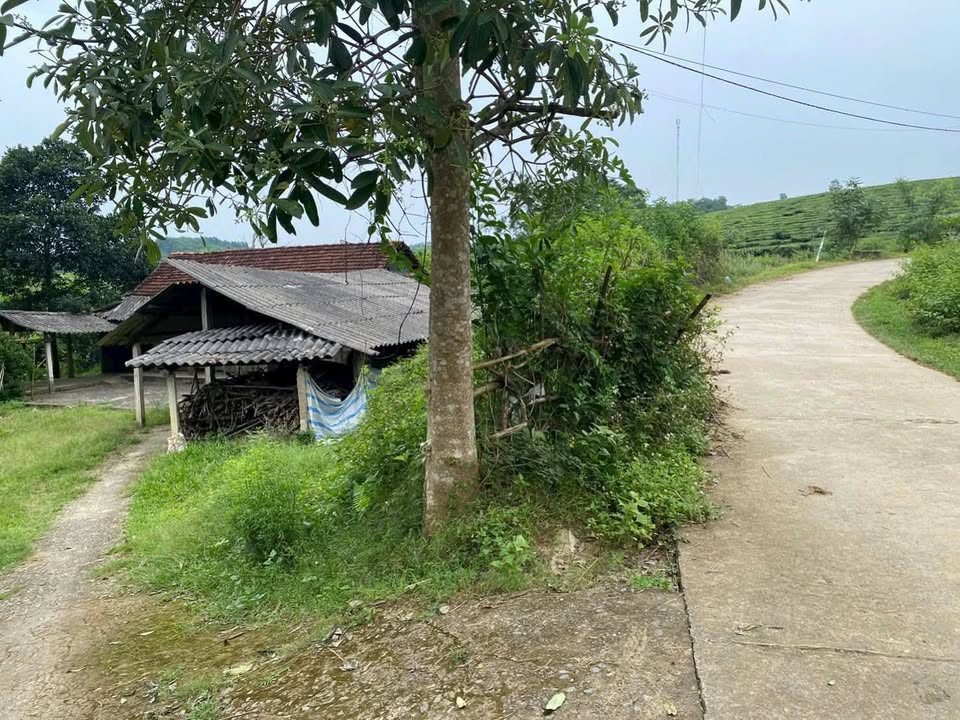 Nhà & Đất Văn Luông, Tân Sơn 747m² giá 600 triệu - Cơ hội đầu tư hấp dẫn!