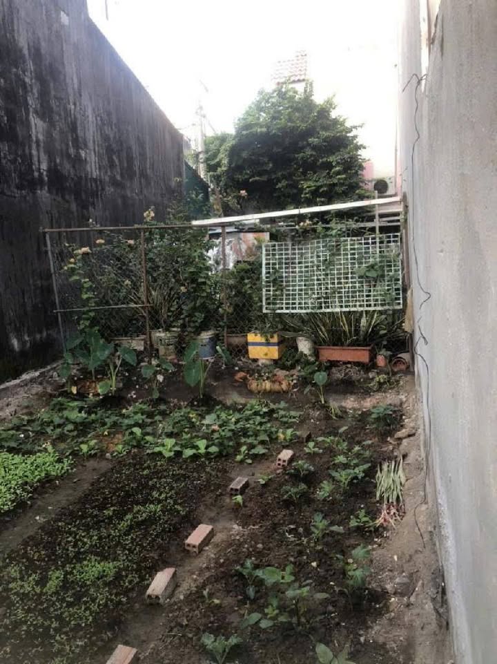 Đất Phú Hữu Thủ Đức 70m² giá 3.5 tỷ - Đường xe hơi thông thoáng!