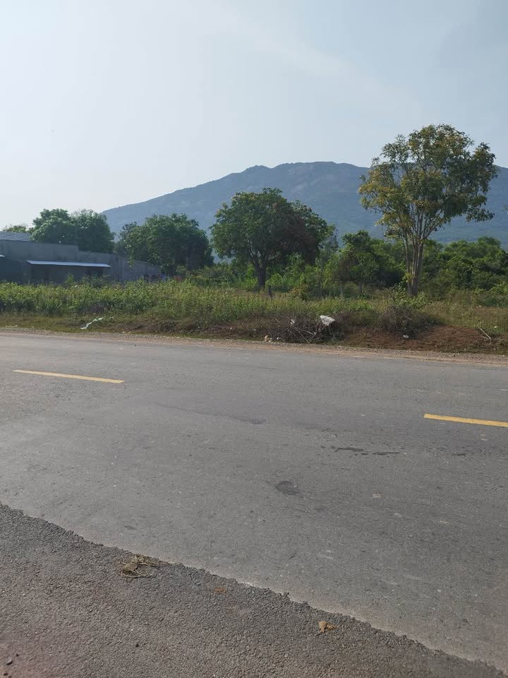 Đất nông nghiệp Ninh Thọ 1446m² giá thỏa thuận - Đường ô tô vào tận nơi!