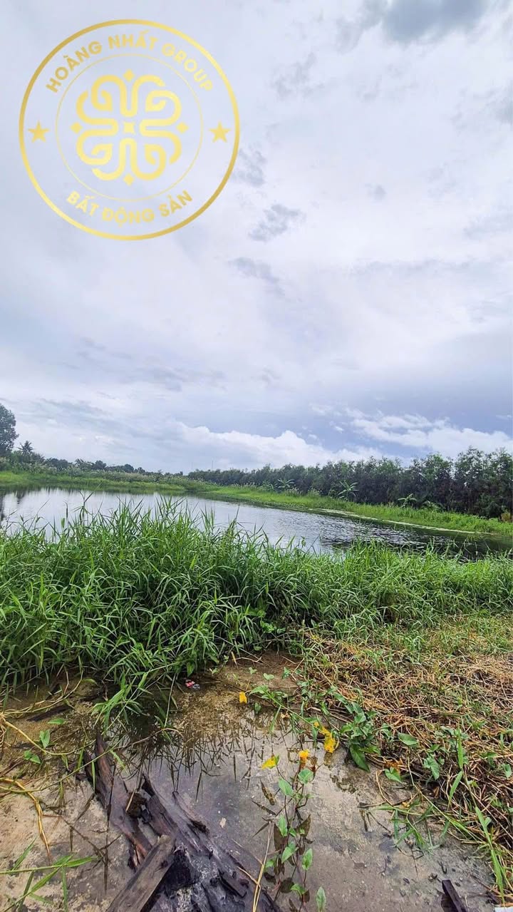 Đất nền 15m ngang Phường Lý Văn Lâm, Cà Mau - Giá chỉ 700 triệu!