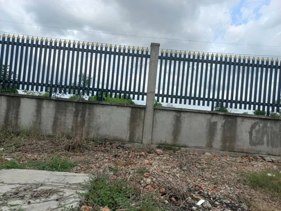 Đất mặt tiền Tỉnh Lộ 15, Tân Thạnh Tây, Củ Chi 4567m² - Tiềm năng sinh lời vượt trội!