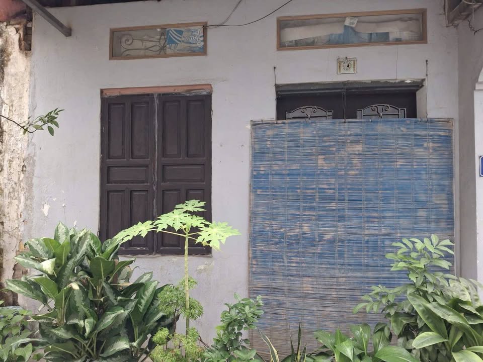 Đất phân lô quân đội Khu Z133 Lý Sơn, Long Biên 40m² giá 6,5 tỷ - Cơ hội vàng cho nhà đầu tư!