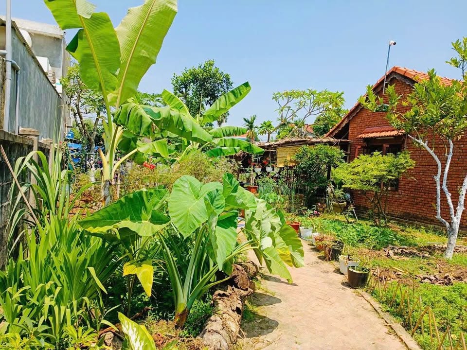 Đất nhà vườn 735m² tại Hòa Phước, Đà Nẵng - Giá chỉ 12.495 tỷ, đầu tư sinh lời!