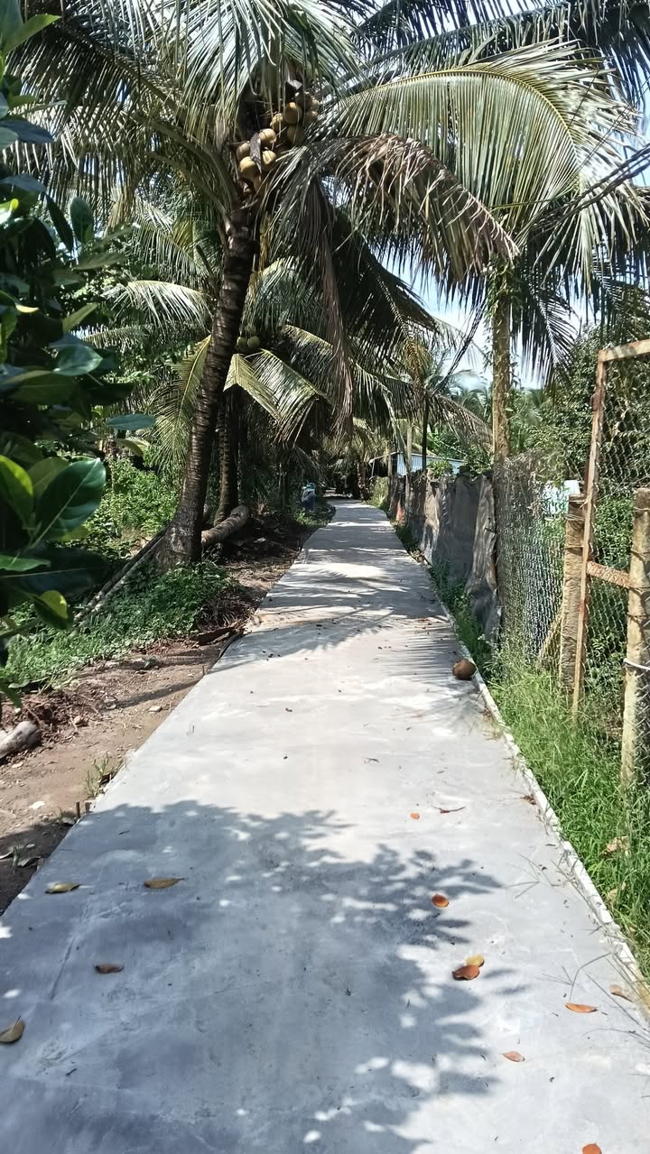 Đất nền 306m² Phường Nhị Mỹ, Cai Lậy - Đầu tư sinh lời ngay!