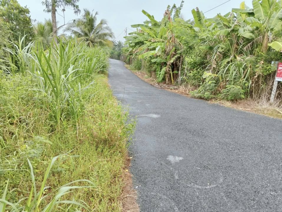 Đất 2 mặt tiền nhựa xã Song Bình, Chợ Gạo 2500m² - Giá chỉ 1.55 tỷ VND!