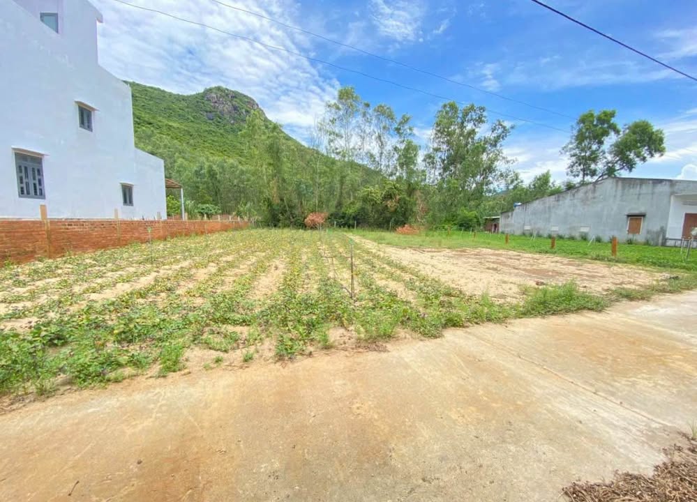 Đất biển Tân Thắng, Cát Hải 200m² chỉ 799 triệu - Đầu tư sinh lời ngay!