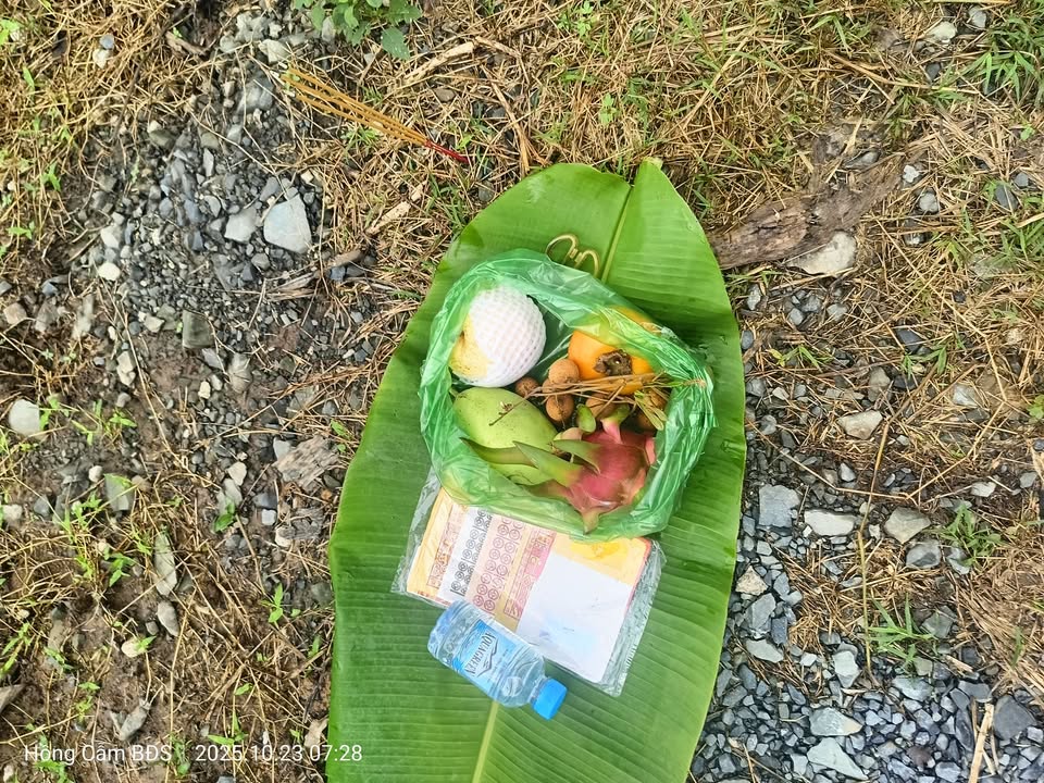 Đất nông nghiệp 586m² tại Xuân Hiệp, Trà Ôn giá chỉ 235 triệu - Cơ hội đầu tư tuyệt vời!