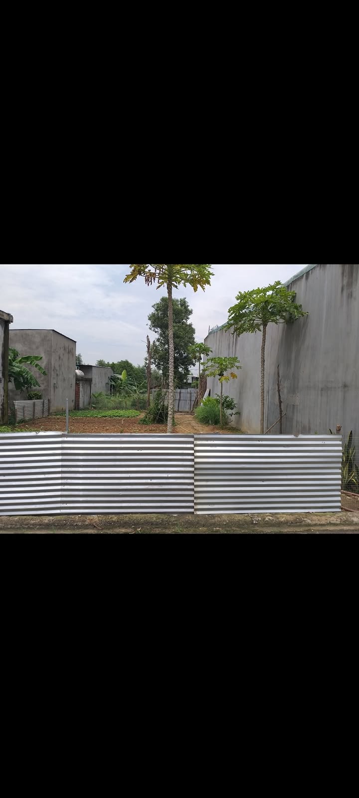 Đất nền khu phố Thiên Bình, phường Tam Phước, Biên Hòa 100m² - Giá chỉ 550 triệu!