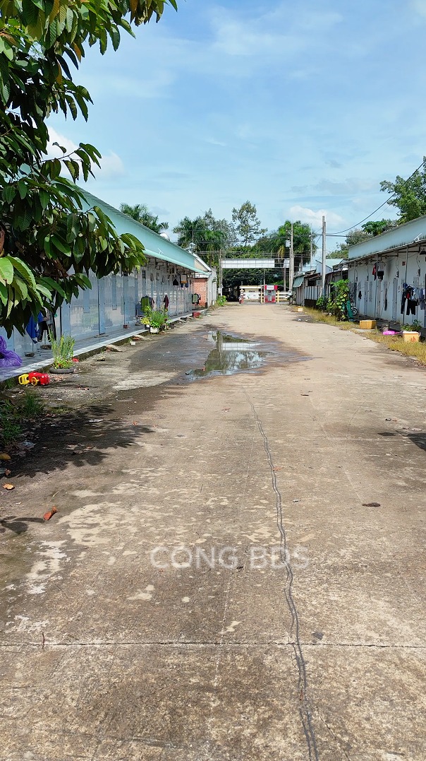 Đất thổ cư 150m² tại Ấp 6, Tân Thành, Đồng Xoài - Giá chỉ 700 triệu!