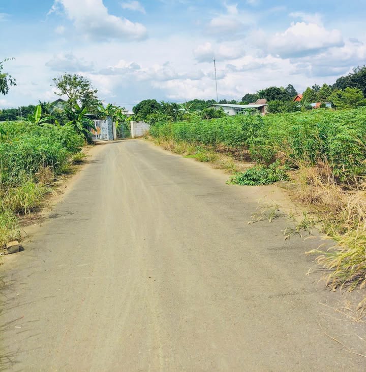 Đất Tiến Thành 100m² giá 400 triệu - Đường nhựa dân cư đông đúc!