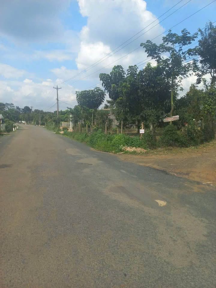 Đất nền phân lô tại Đinh Trang Hòa, Di Linh 1000m² giá 1.3 tỷ - Cơ hội đầu tư hấp dẫn!