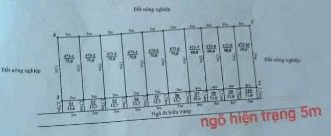 Đất nền Ngô Gia Tự Hải An 120m² giá 4.95 tỷ - Ô tô tránh nhau, vị trí đắc địa!