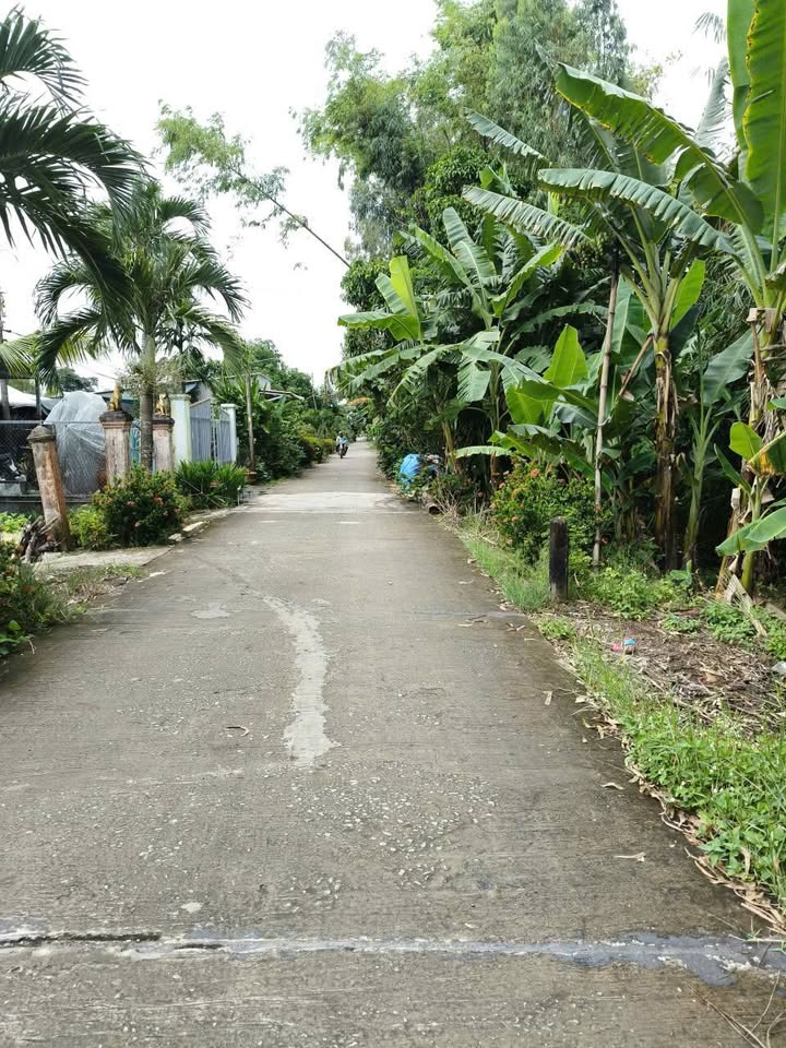 Đất nền thổ cư mặt tiền đường Đan Rạch Chanh, xã Long Kiến, huyện Chợ Mới, 307m² - Giá chỉ 800 triệu!