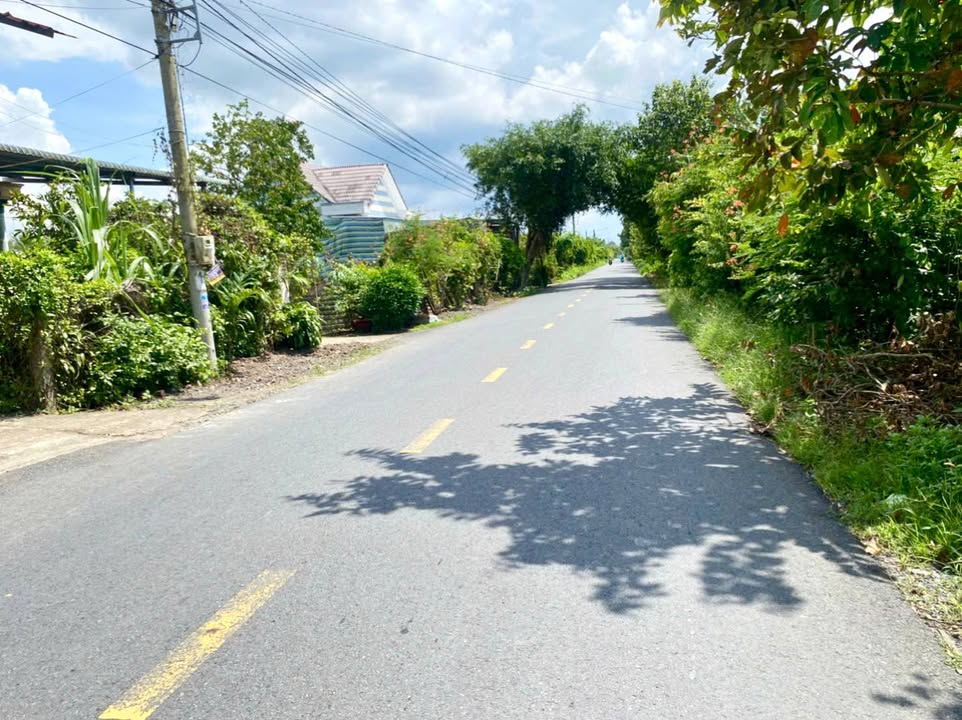 Đất mặt tiền đường huyện 87C, xã Tân Mỹ Chánh, TP Mỹ Tho, 155m² - Vị trí kinh doanh sầm uất!