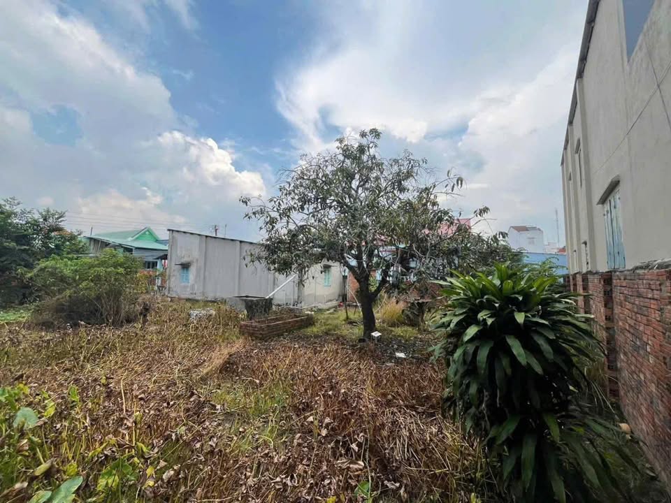 Đất biệt thự Bửu Hòa, Biên Hòa, 216m² giá 3.999 tỷ - Sổ đỏ chính chủ, vị trí đẹp!