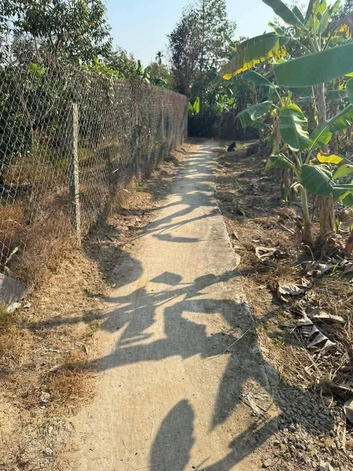 Đất vườn 1500m² giá 1 tỷ tại Hiệp Đức - Đầu tư sinh lời ngay!