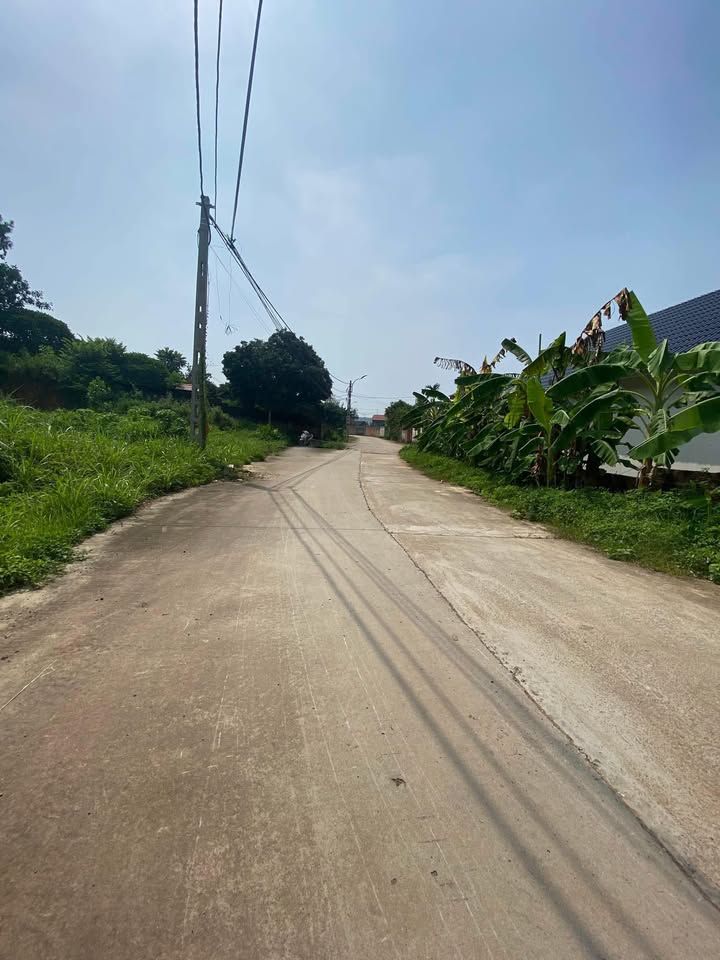 Đất nền phường Tân An 175m² giá chỉ từ 1 tỷ - Đầu tư sinh lời nhanh!