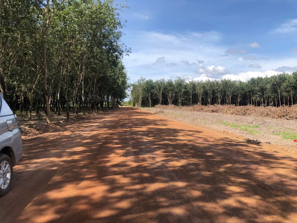 Đất nền Tân Lập 3600m² giá 600 triệu - Cơ hội đầu tư tốt nhất!