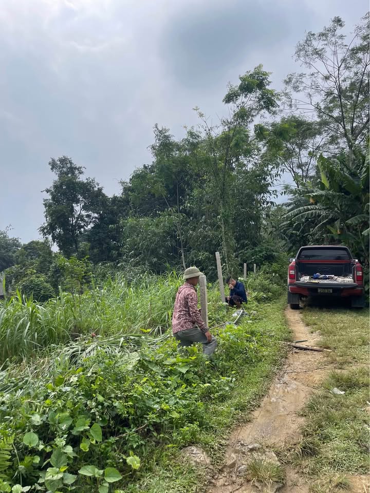 Đất nền 1200m² tại Tân Lạc, Hòa Bình chỉ 500 triệu - Sổ đỏ công chứng ngay!