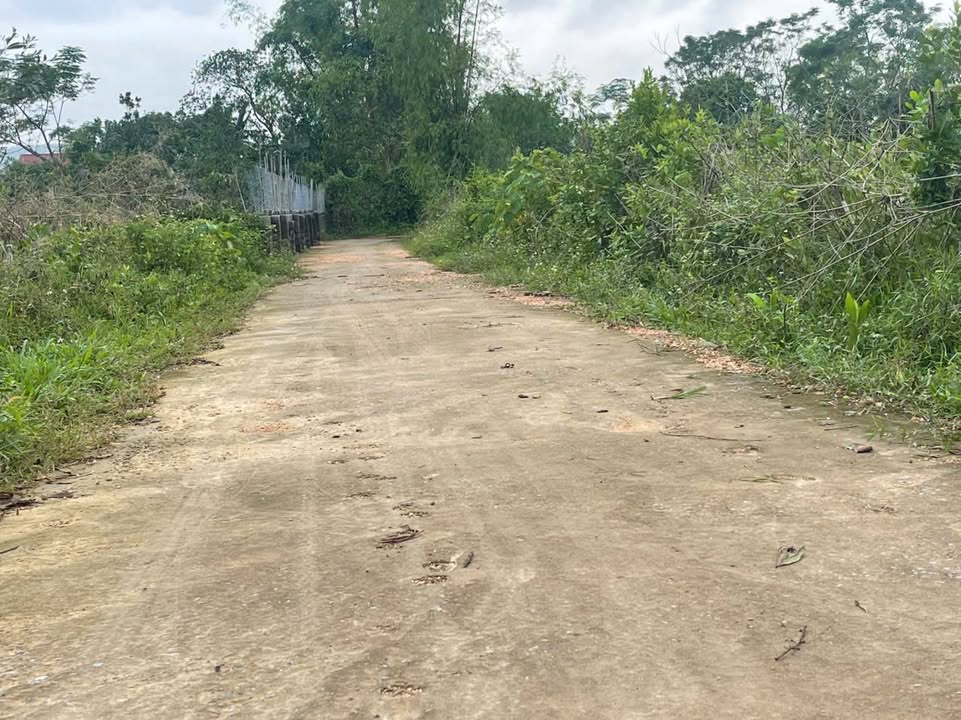 Đất thổ cư 120m² tại Thôn Thị Long, Tượng Sơn - Cơ hội đầu tư hấp dẫn!