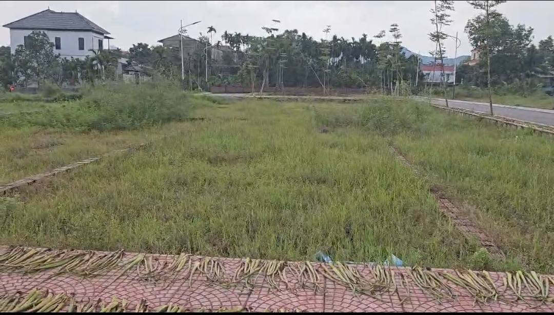 Đất nền phường An Tiến, Mỹ Đức, Hà Nội 81m² - Giá tốt, vị trí đẹp!