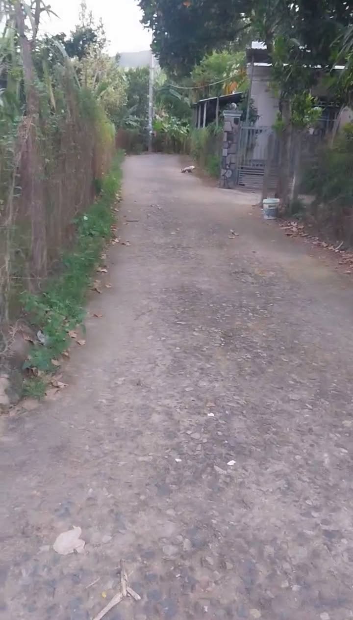 Đất nền xã Vĩnh Trung Nha Trang 700m² giá 3.7 tỷ - Đầu tư sinh lời ngay!