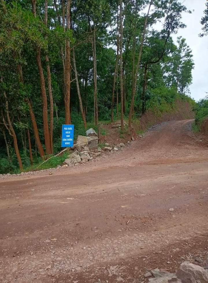 Đất nền tại cửa khẩu Lao Bảo, Quảng Trị 6311m² - Cơ hội đầu tư tuyệt vời!