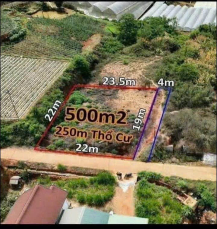 Đất nền Xuân Thọ Đà Lạt 500m² giá 5,2 tỷ - Đầu tư sinh lời ngay!