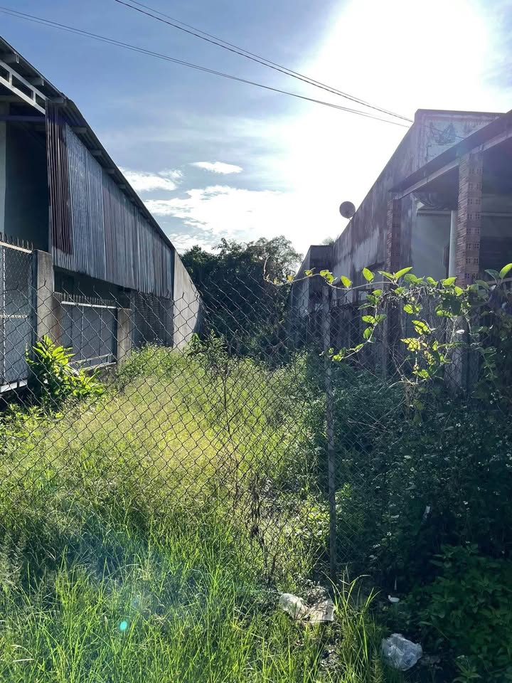 Đất mặt tiền bê tông Phú Xuân, Tân Phú 250m² giá 1.15 tỷ - Đầu tư sinh lời!